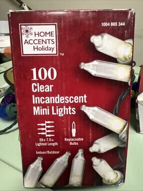 Home Accents 100 Count Clear Mini 20 FT String Lights Indoor Outdoor Green Wire